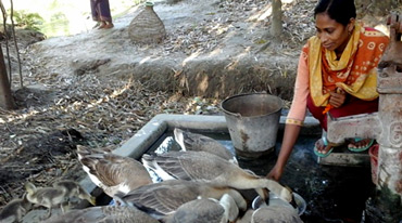 গৃহিণী থেকে কৃষাণী, শেপালী এখন স্বাবলম্বী