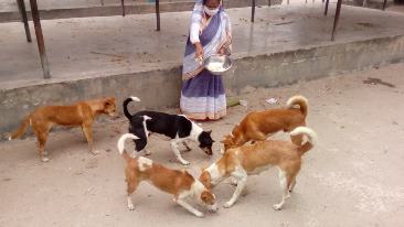 দৃষ্টান্তমূলক ভূমিকা রেখেছেন রহিমা বেগম